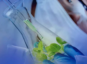 河南奇峰檢測技術有限公司